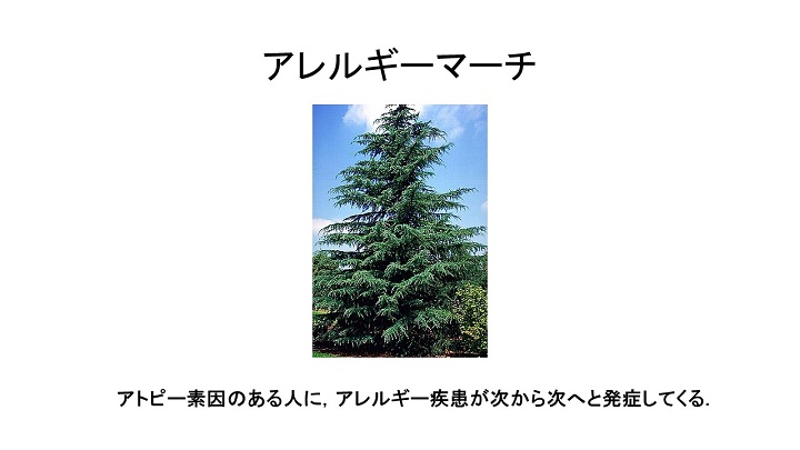 allergy03-08