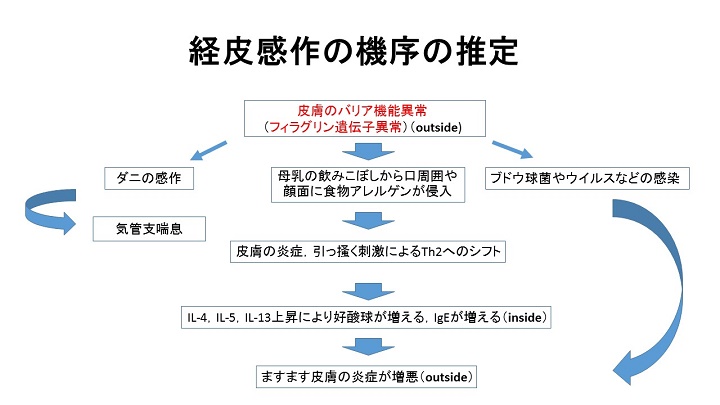 allergy03-30